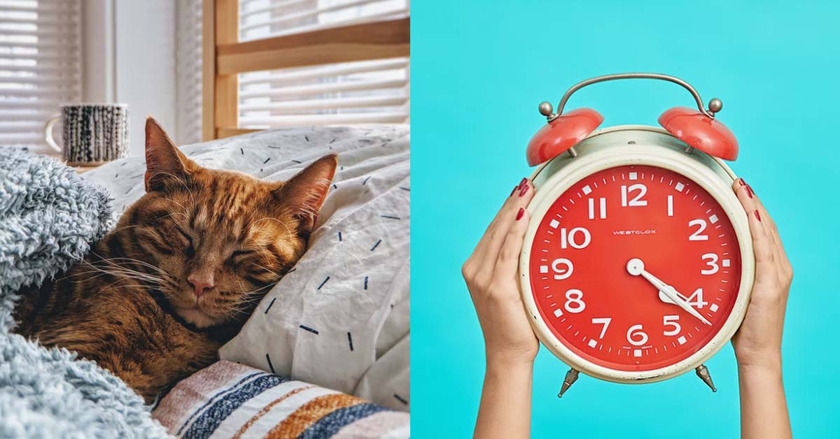 BF ACCUSE GF OF SABOTAGING HIS JOB AFTER SHE NEVER WOKE HIM UP