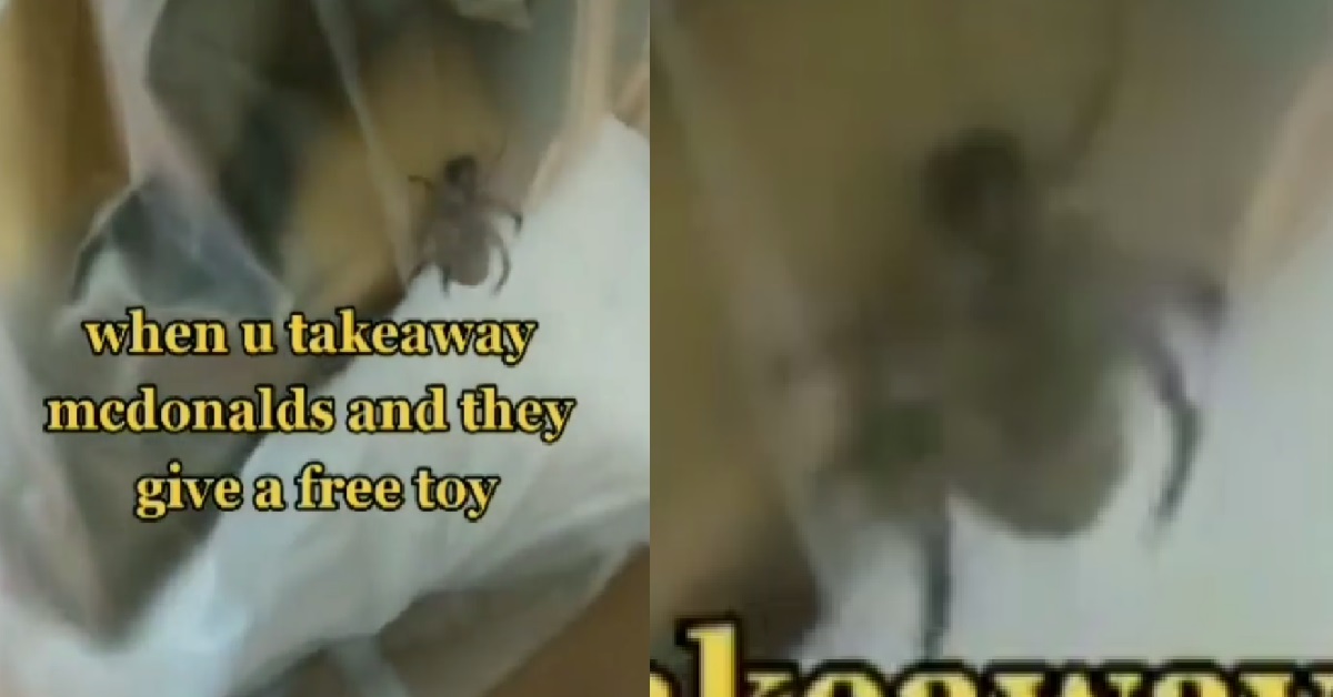 MCDONALD TAKES AWAY END UP GOT FREE “TOY” CRAWLING IN BAG