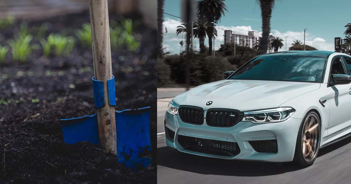 M’SIAN GIRL BREAKS UP WITH BF CAUSE HE CAN’T AFFORD BMW, CALLS HIM TRASH
