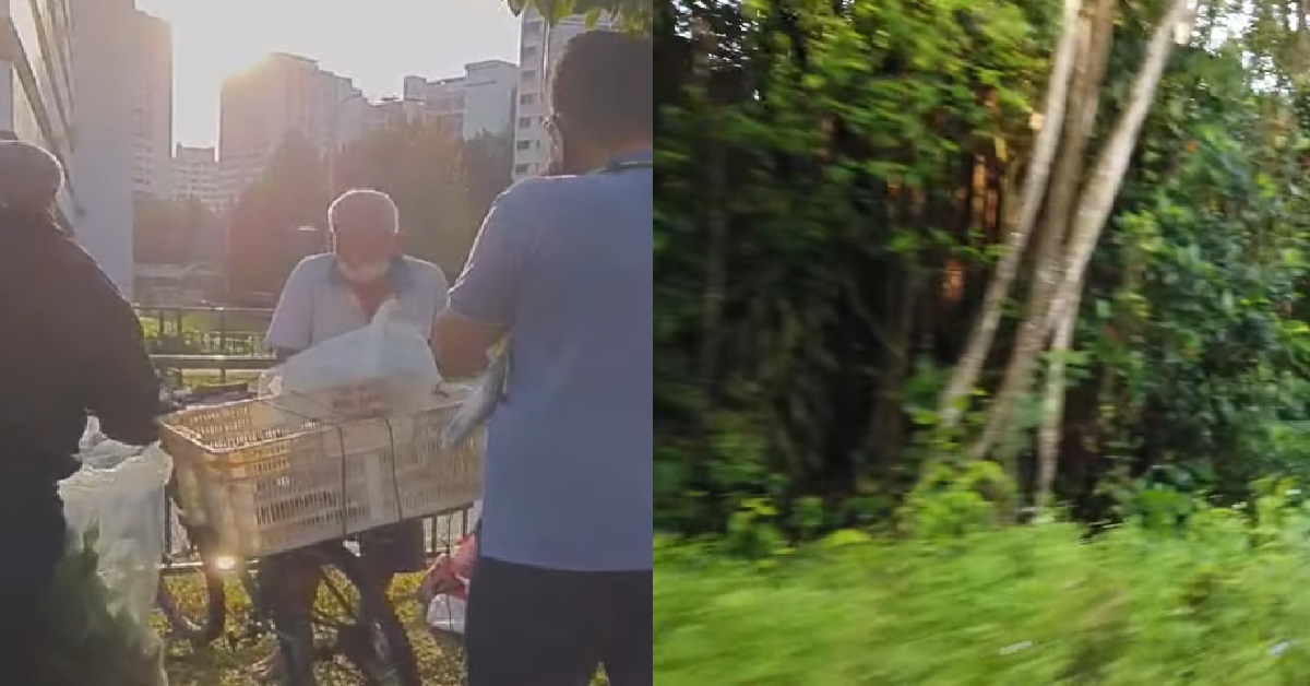 79 Y.O ELDERLY MAN LIVED ALONE IN S’PORE FOREST FOR THE LAST 33 YEARS
