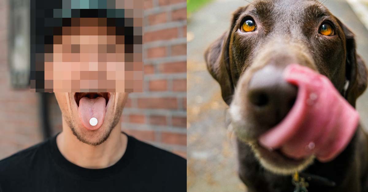 GUY GOT DRUNK: TEXT BEST FRIEND HE WANTS TO TASTE HER WHOLE BODY