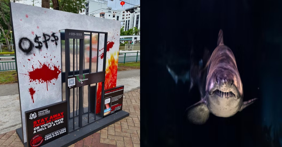 FOREIGN MAID BORROWED FROM LOANSHARKS, CAUSING EMPLOYER’S FAMILY TO RECEIVE HARASSMENT FROM THEM