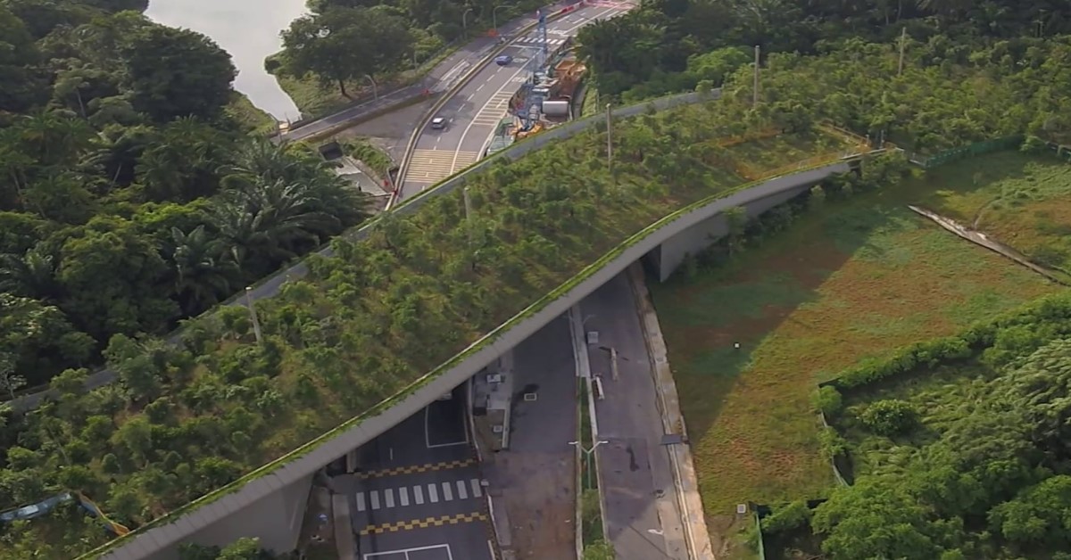 SAMBAR DEER & 70 SPECIES SPOTTED USING MANDAI WILDLIFE BRIDGE