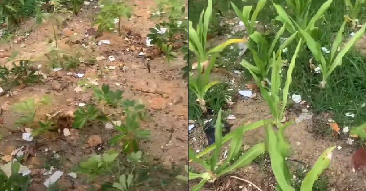 WOMAN SHOCKED BY AMOUNT OF RUBBISH IN CHANGI BAY PARK