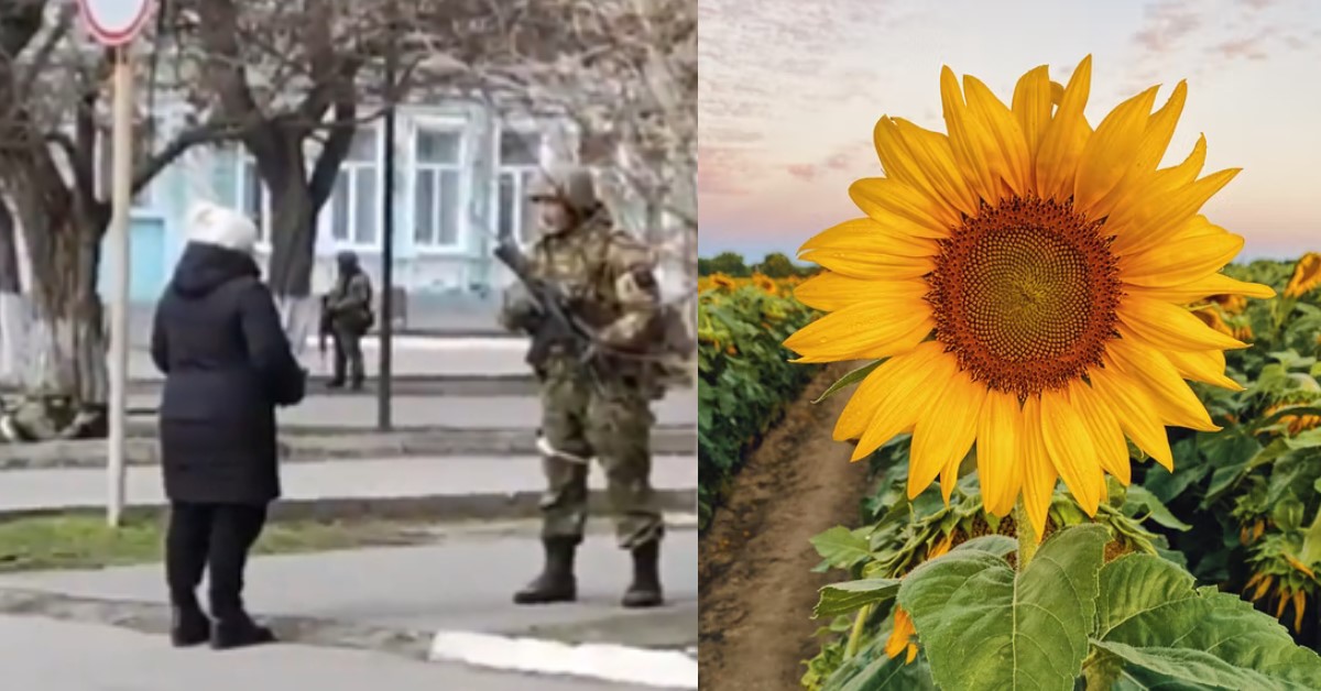 UKRAINIAN: PUT SUNFLOWER SEEDS IN YOUR POCKET SO IT GROWS WHEN YOU DIE