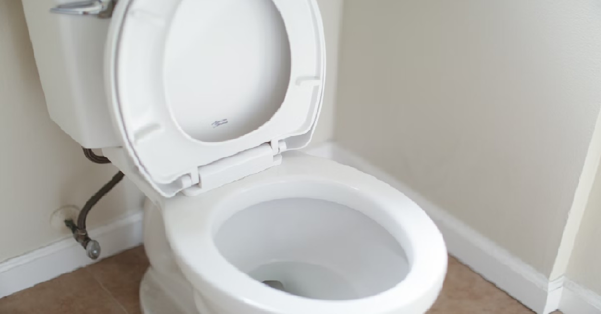 MAN WANTS TO DUMP HIS GIRLFRIEND BECAUSE SHE KEEPS CLOGGING THE TOILET