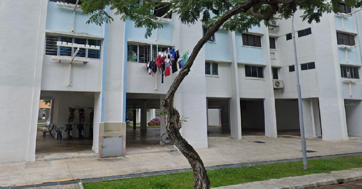 FAMILY OF 5 CHICKS FOUND POISONED & BURNED AT YISHUN, CULPRIT ON THE LOOSE