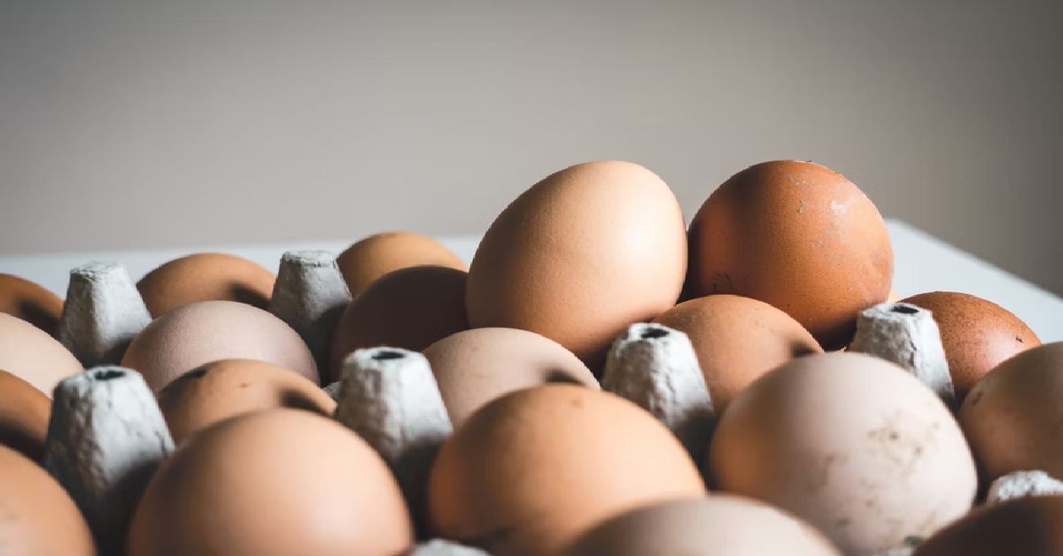 PRICES OF EGGS LIKELY TO RISE, BUT NO SHORTAGE IN S’PORE