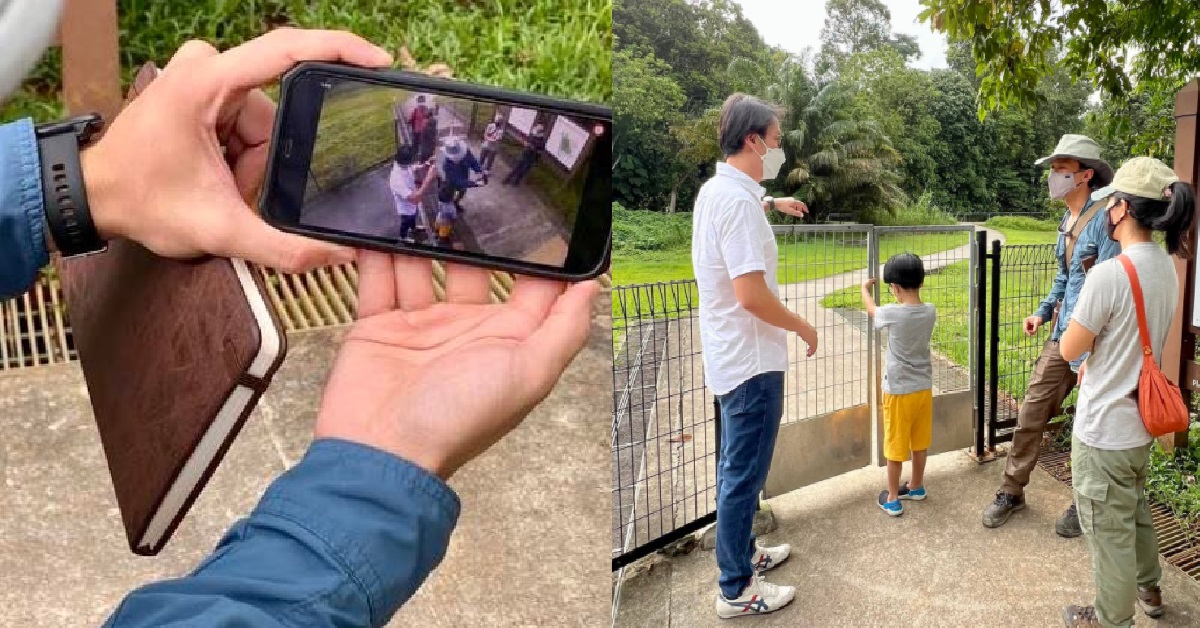 EDWARD CHIA – WILD BOARS MAY HAVE ENTERED ESTATE VIA DAMAGED GATE