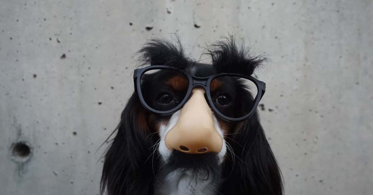 BF EXPLODES ON GF AFTER FINDING OUT SHE HAD A NOSE JOB