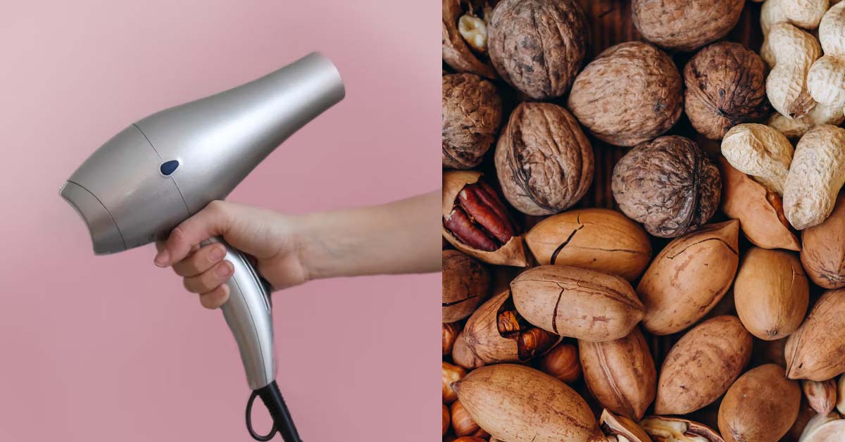 HUSBAND USE WIFE’S $400 HAIR DRYER TO DRY HIS NUTS
