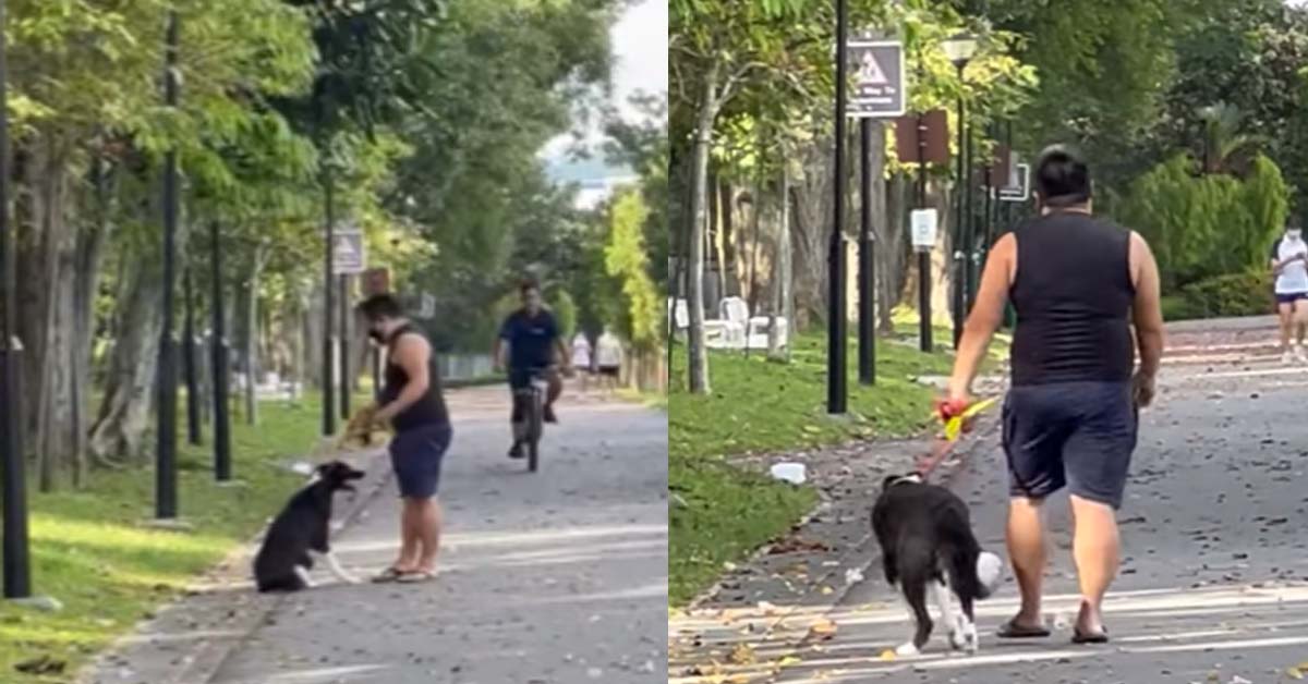MAN STRANGLES DOG AND PULLED HIS COLLAR INHUMANELY