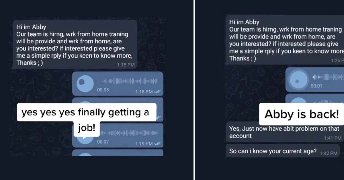 MAN TROLLS TELEGRAM JOB SCAMMER SHARES IT ON TIKTOK