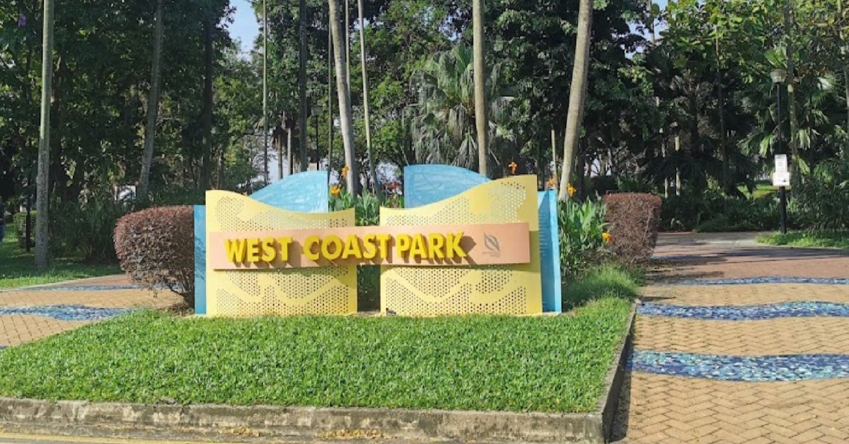 NSMAN WHO DIED AFTER COLLAPSING DURING NS-FIT, HAD CORONARY ARTERY DISEASE