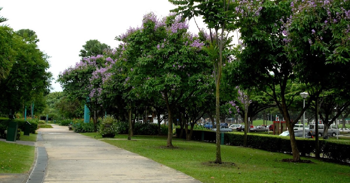 NS-MAN DIED AFTER COLLAPSING DURING NS FIT SESSION @ WEST COAST