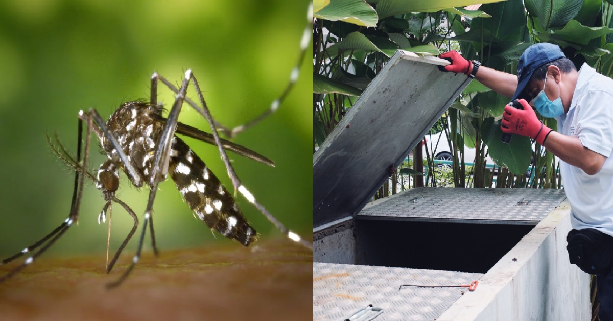 NEA – MORE THAN 4K CASES OF DENGUE IN 2022, TREND IS “WORRYING”
