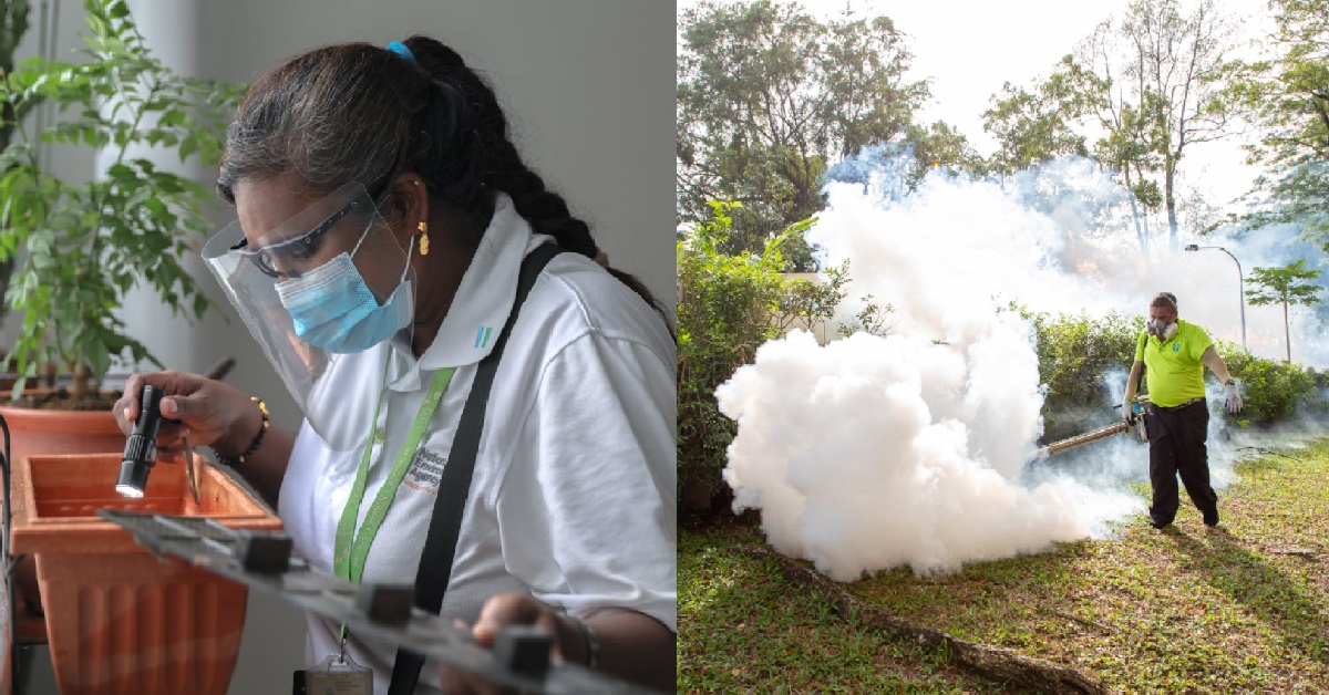 WEEKLY DENGUE CASES EXPECTED TO HIT MORE THAN 2K CASES, WORRYING