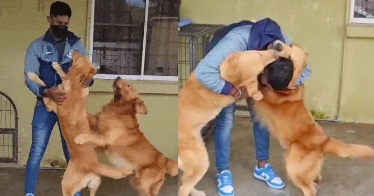 M’SIAN RETURNS HOME TO DOGS AFTER BEING STUCK IN SG FOR OVER A YEAR
