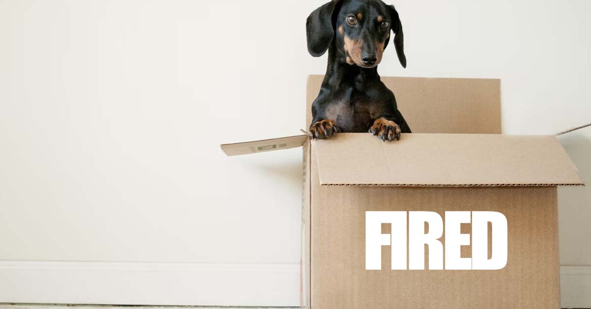 COLLEAGUES SABOTAGE EACH OTHER TO GET PROMOTED, BOSS FIRES THEM ALL