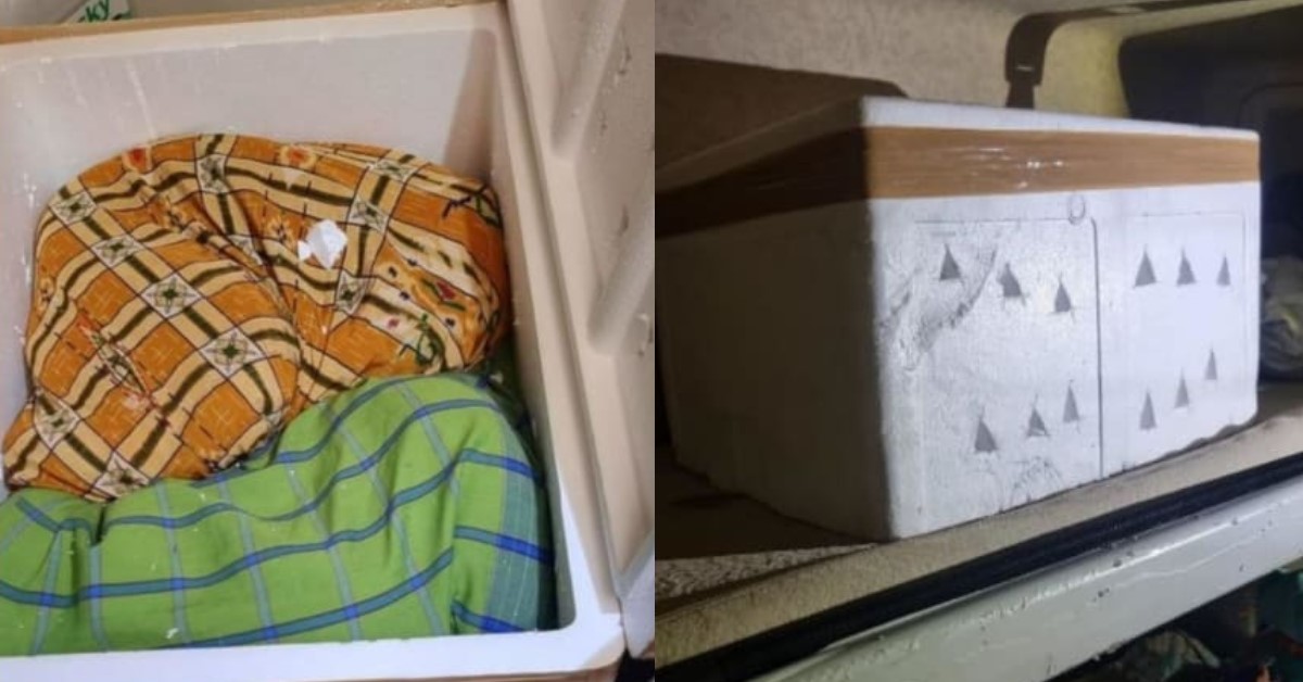 ICA OFFICERS PREVENTS SMUGGLING OF LIVE PYTHONS INTO SPORE
