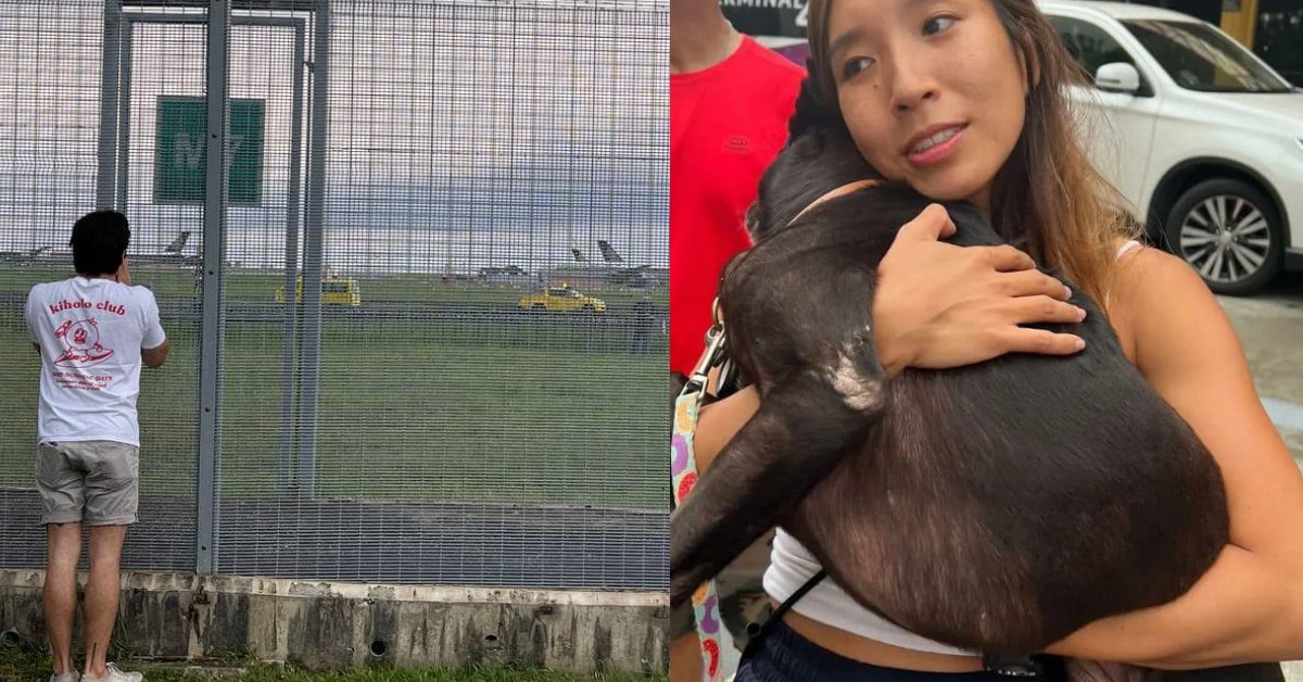 DOG MISSING @ CHANGI AIPORT REUNITES WITH OWNER