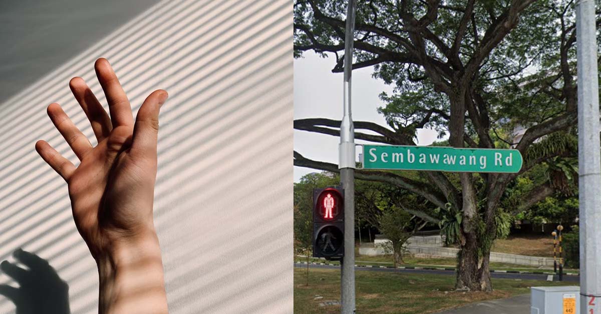 31 Y.O ALLEGED MOLESTER ARRESTED WITHIN 3 HOURS OF THE CRIME