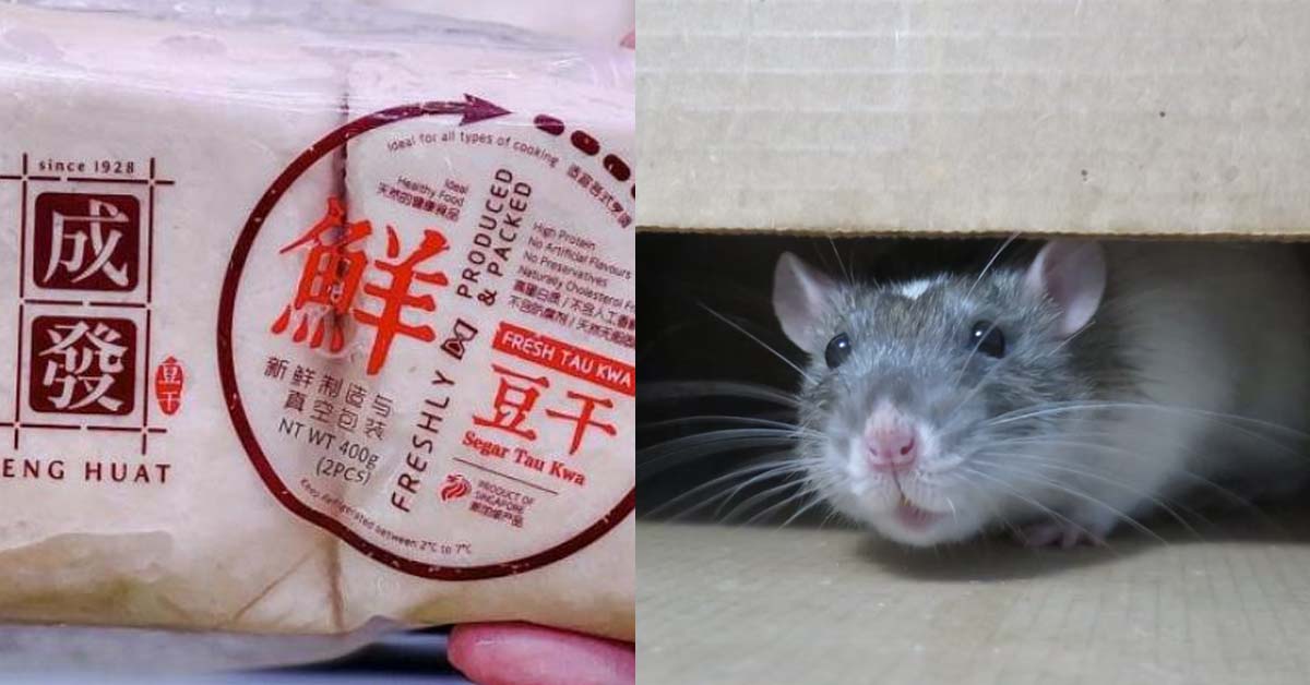 BEAN CURD MANUFACTURER FINED SGD$3,000 FOR RATS AND COCKROACHES