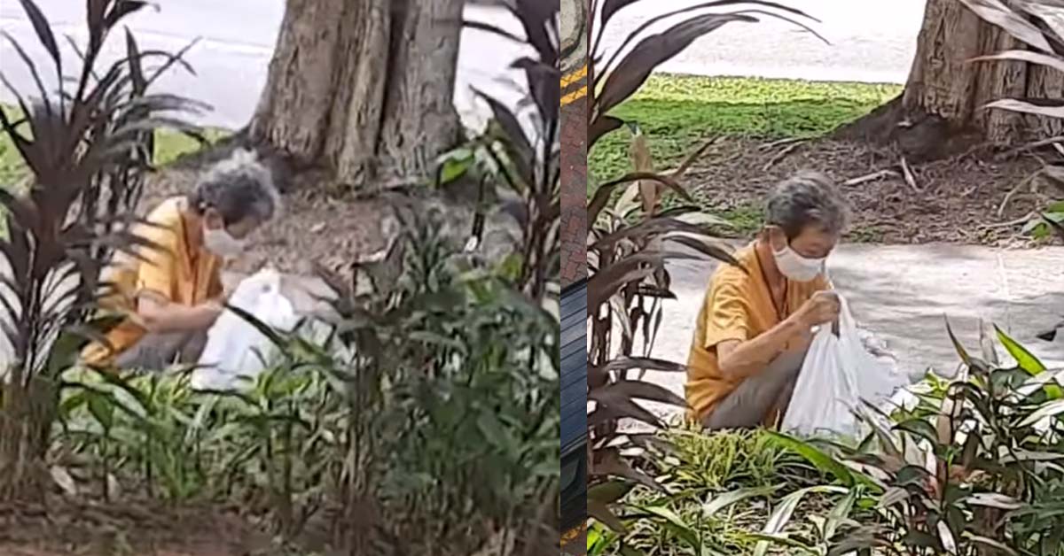 AUNTIE SCOOPS AND TAKES FREE FERTILIZER HOME FROM PUBLIC