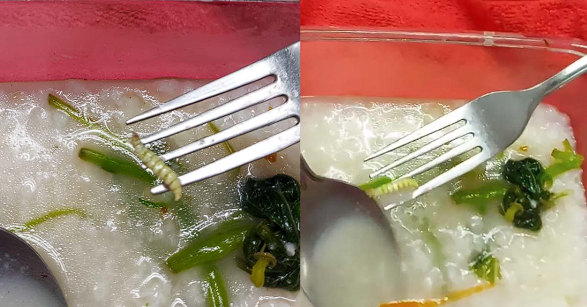 NETIZEN FOUND WORM IN FOOD FROM NTWU CANTEEN VEGETABLE RICE STALL