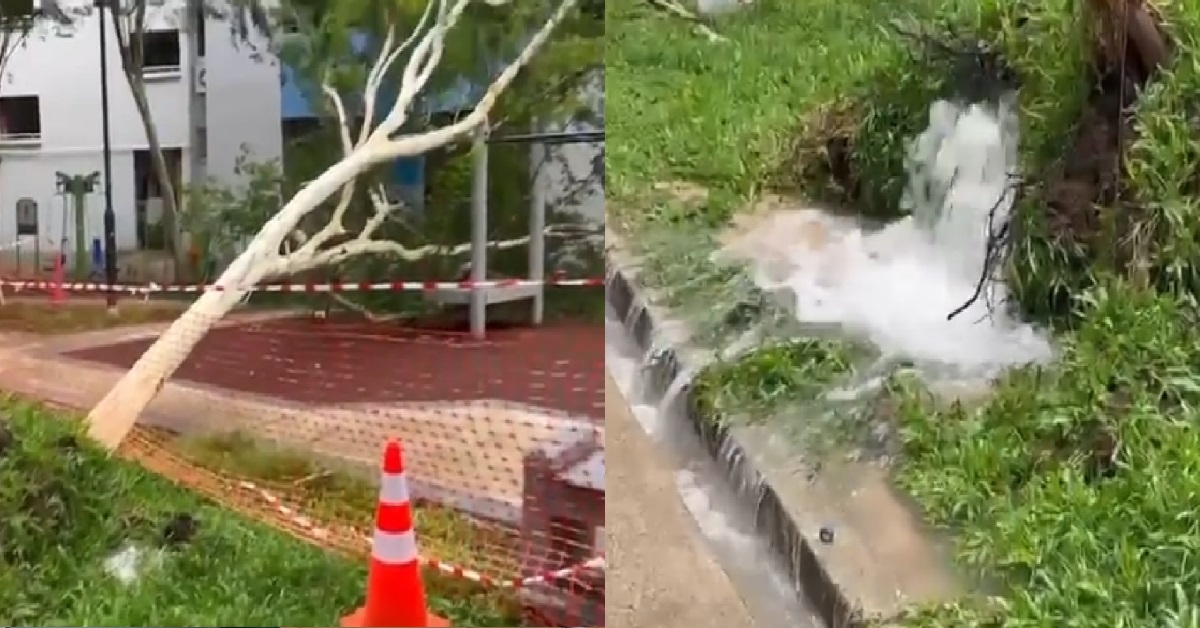 TREE UPROOTED @ BEDOK, WATER SUPPLY MAIN DAMAGED