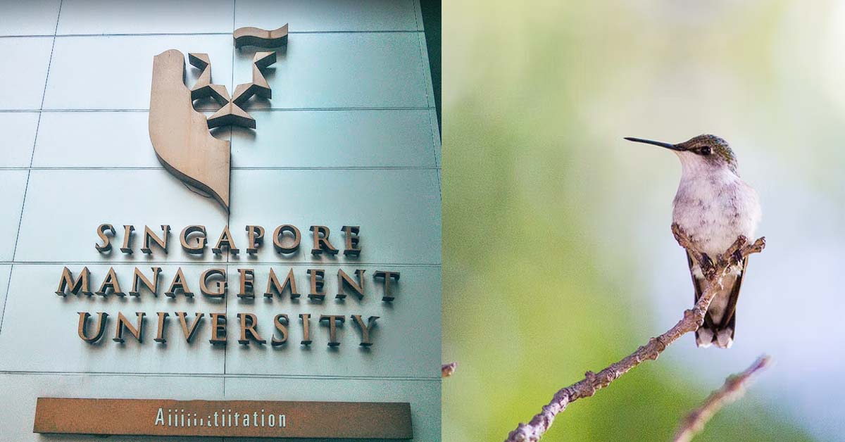 SMU STUDENT TRIES TO APPEAL AGAINST MOLEST SENTENCE, FAILS