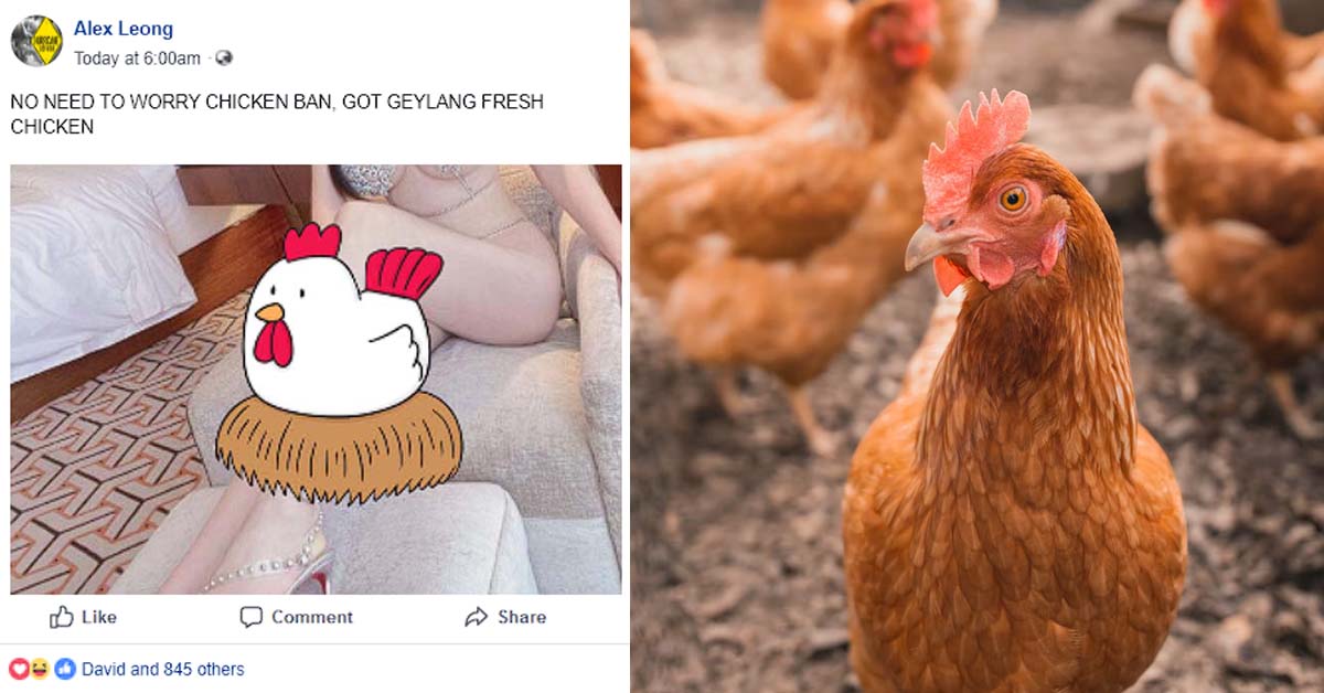MAN SAYS “NO NEED TO WORRY CHICKEN BAN, GOT GEYLANG FRESH CHICKEN”