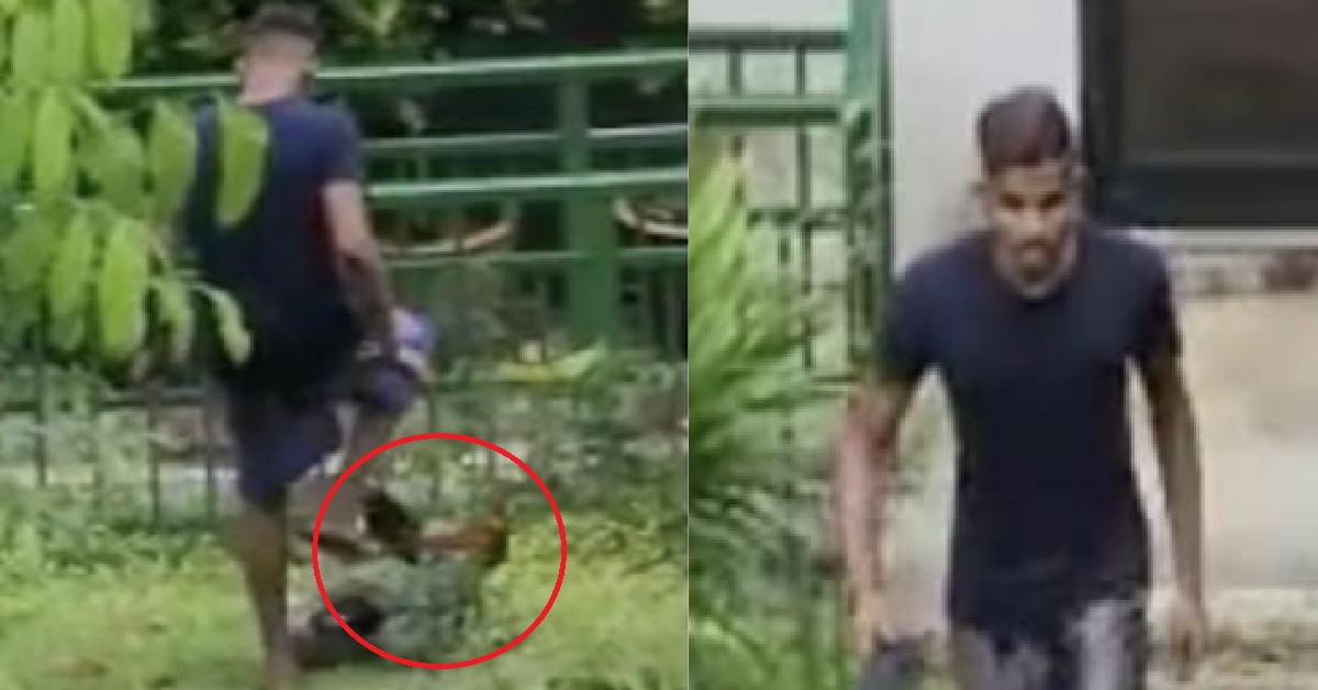 SPCA SEEKING TO IDENTIFY MAN WHO HIT AND KICKED CHICKENS @ HOUGANG