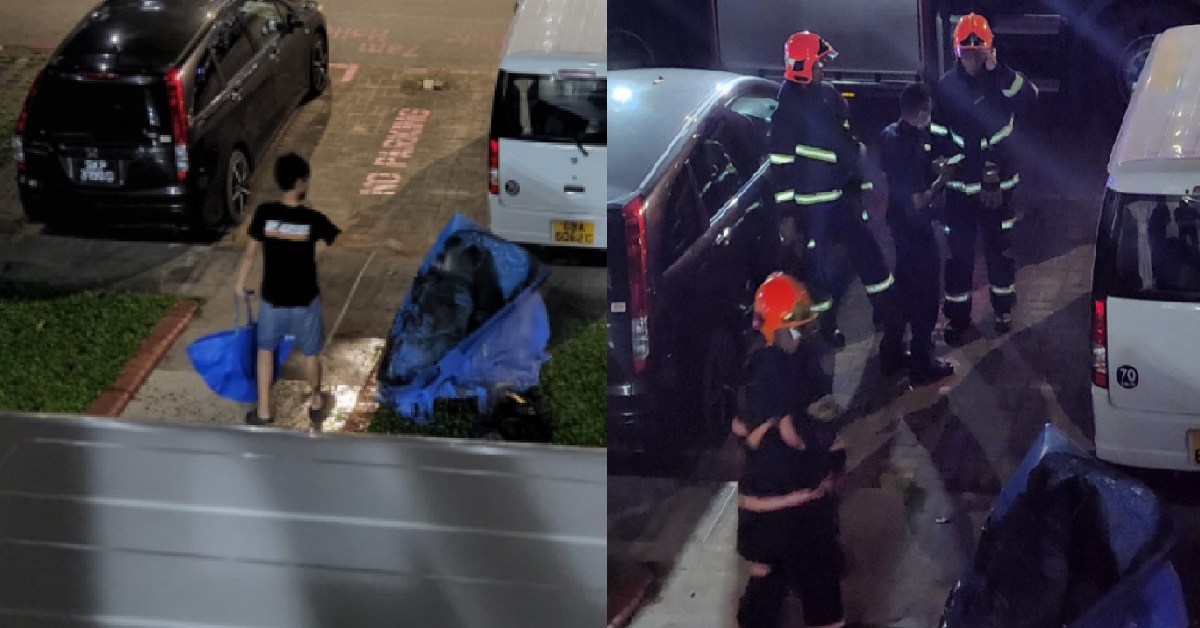 DELIVERYMAN CASUALLY EXTINGUISHES FIRE, THEN RESUMES DELIVERY
