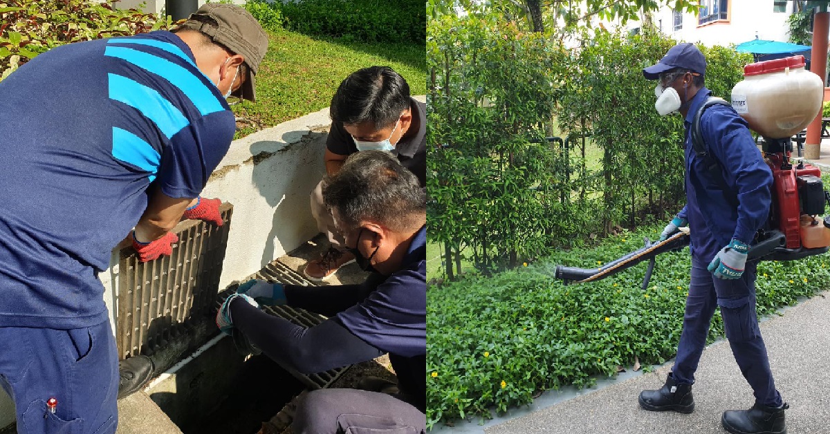 31K CASES OF DENGUE SO FAR, 200-300 CASES PER WEEK “STILL HIGH” THIS TIME OF YEAR