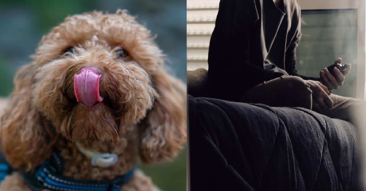 GUY LETS HIS FRIEND’S DOG LICK HIS “FAMILY JEWELS” UNTIL HE SHOOT