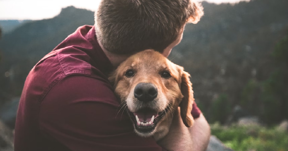 GIRL JEALOUS OF BOYFRIEND’S DOGS, SAYS HIS DOGS TAKE PRIORITY OVER HER