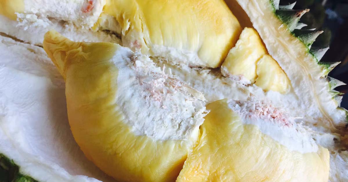 DURIAN PRICE TO DOUBLE DUE TO RISING COST