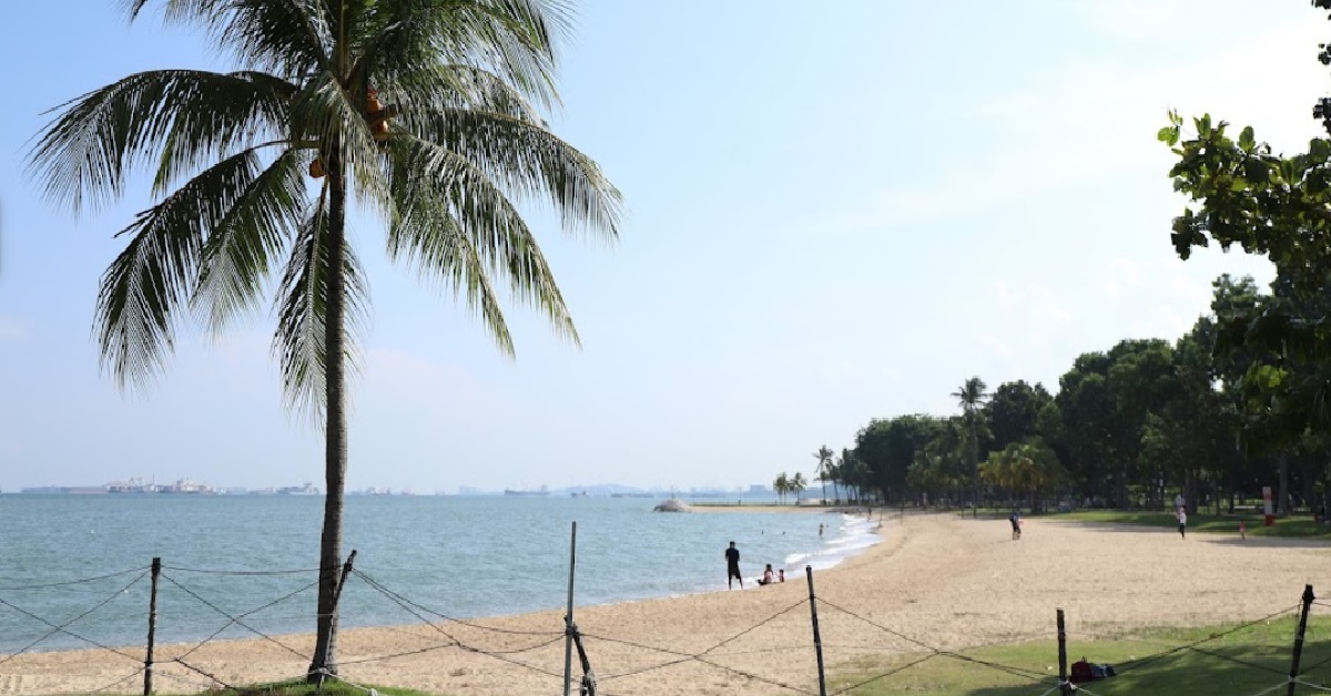 ENGINEERING STUDENT DETONATED HOMEMADE BOMBS AT EAST COAST PARK