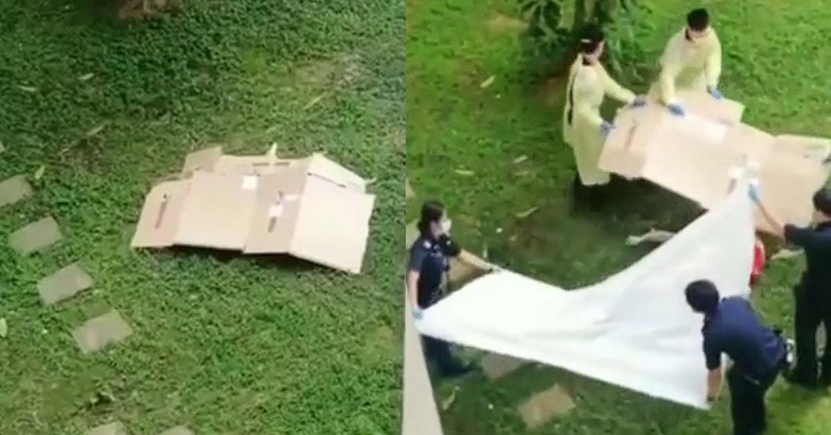 BODY SPOTTED AT FOOT OF FERNVALE LINK BLOCK