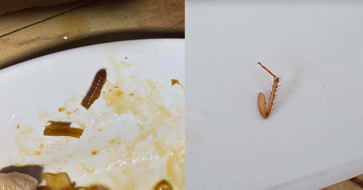 WORMS AND COCKROACH LEGS FOUND IN ZHI CHAR FOOD @ COMPASSVALE LINK