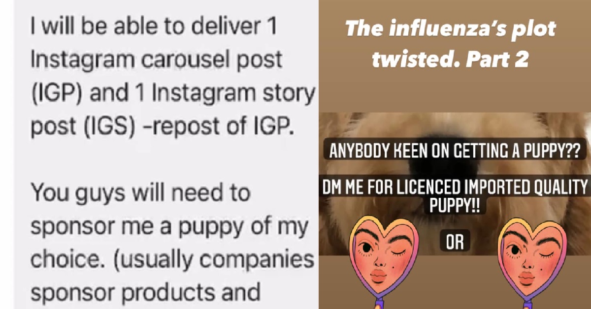 “INFLUENCER” ASKS ANIMAL SHELTER TO “SPONSOR” HER A PUPPY FOR IG POST