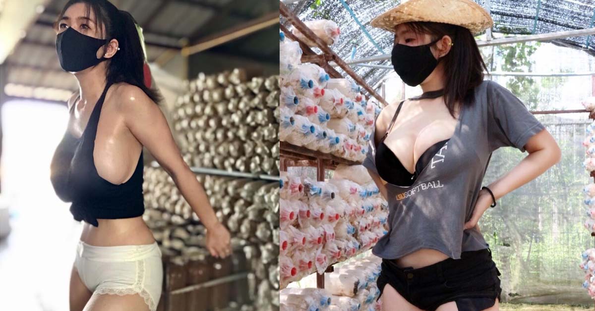 THAI MUSHROOM FARMER GOES VIRAL FOR HER HUMONGOUS MUSHROOMS