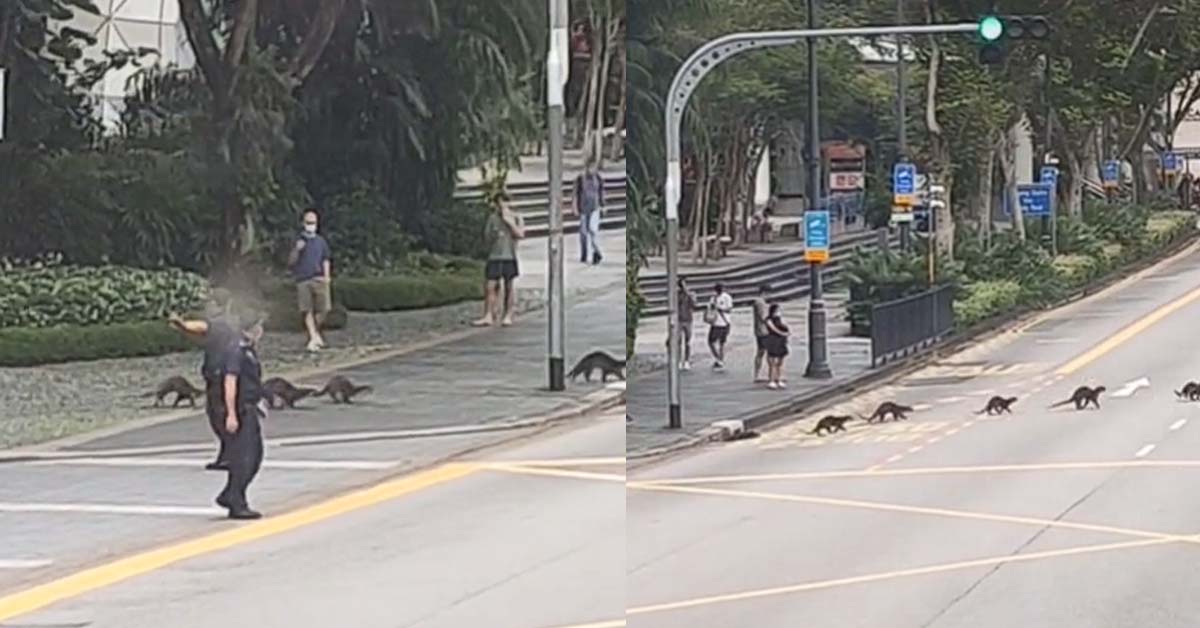 OTTER GANG LAYS DOWN ON ROAD  OUTSIDE ISTANA, OFFICER SEEN ESCORTING THEM