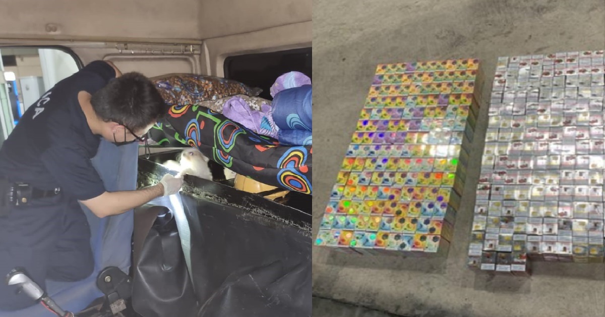 M’SIA LORRY TRIED TO SMUGGLE 8.5K VAPE PODS & 17 LIVE DOGS @ TUAS