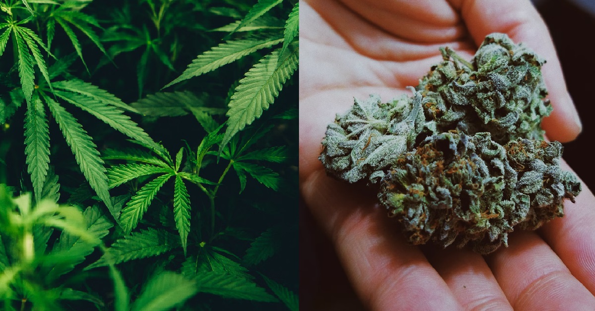 S’PORE INCREASES PUNISHMENT FOR DRUG POSSESSION, 10 YEARS JAIL UPPED TO 30 YEARS