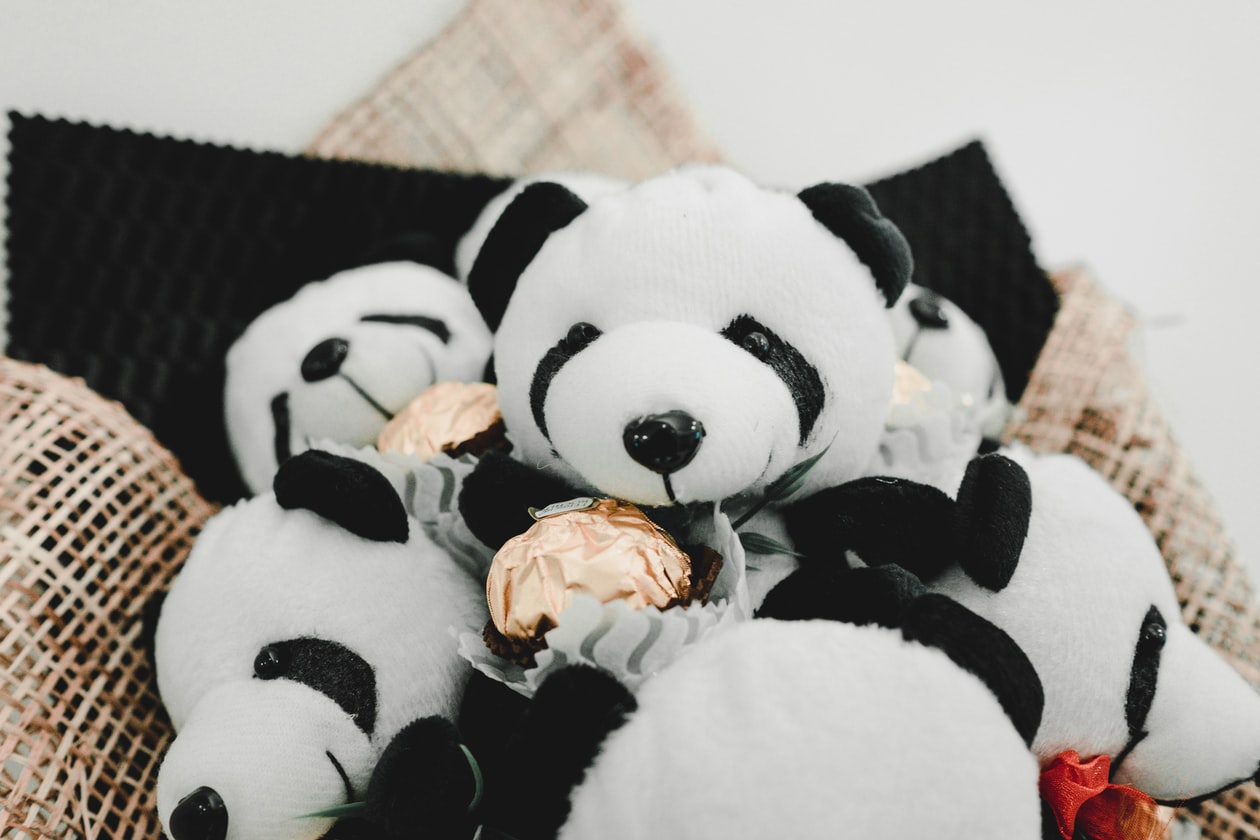 BRO THROWS & BURNS SISTER’S STUFFED TOY AFTER SHE STEALS FROM HIM
