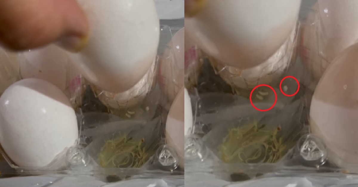 WOMAN BOUGHT EGGS, FOUND MAGGOTS “CLAWING OUT” FROM INSIDE