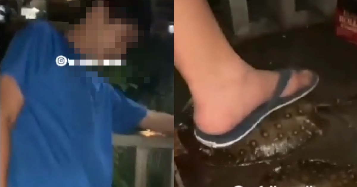 YP DENIES STEPPING ON STINGRAYS IN VIRAL VIDEO, NPARKS INVESTIGATING