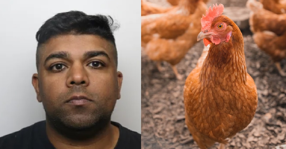 MAN RAPED CHICKENS TO DEATH WHILE WIFE FILMED HIM, JAILED 3 YEARS